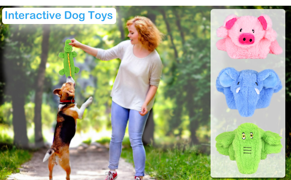 dog toys