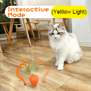 interactive mode