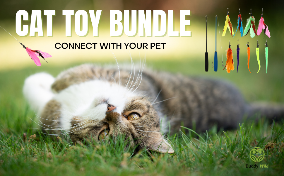 Cat Toy Bundle