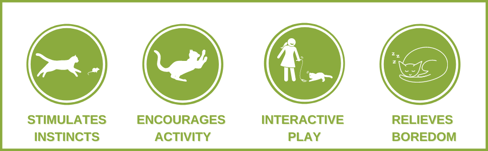 cat toys benefits graphics