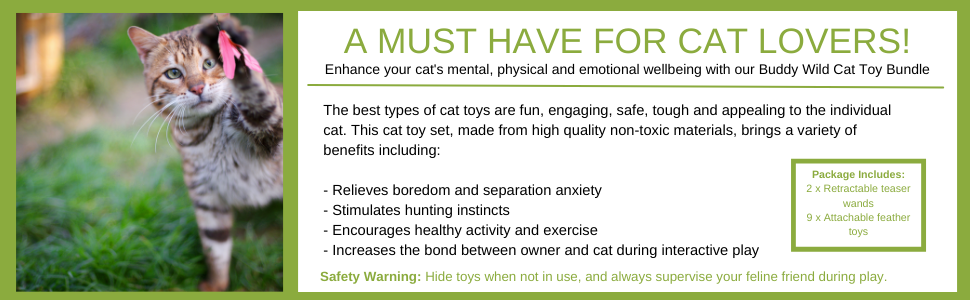 Cat Toy Benefits