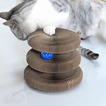 cat toy with balls