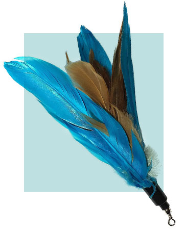 Cat Feather Toys