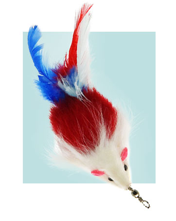 Cat Feather Toys