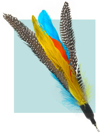 Cat Feather Toys