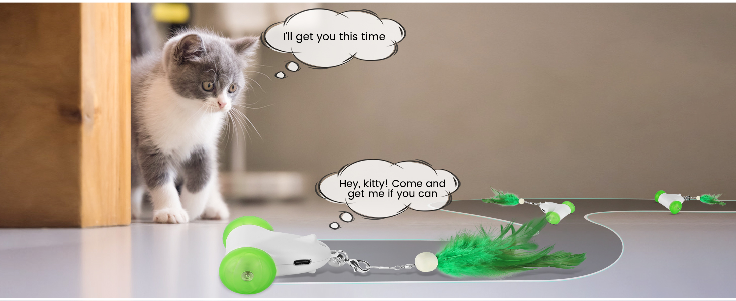  Interactive Cat Toys