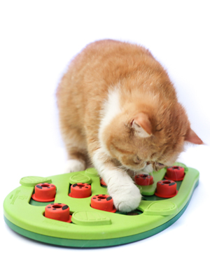 Petstages Nina Ottosson Buggin' Out Puzzle & Play Cat Treat Puzzle Cat Game Cat Puzzle Games