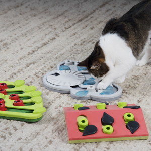 Petstages Nina Ottosson Buggin' Out Puzzle & Play Cat Treat Puzzle Cat Game Cat Puzzle Games