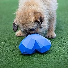 Treat Dispensing Toy