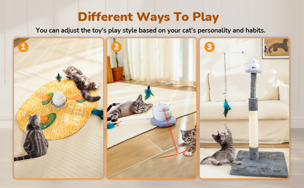 Interactive Cat Toys 