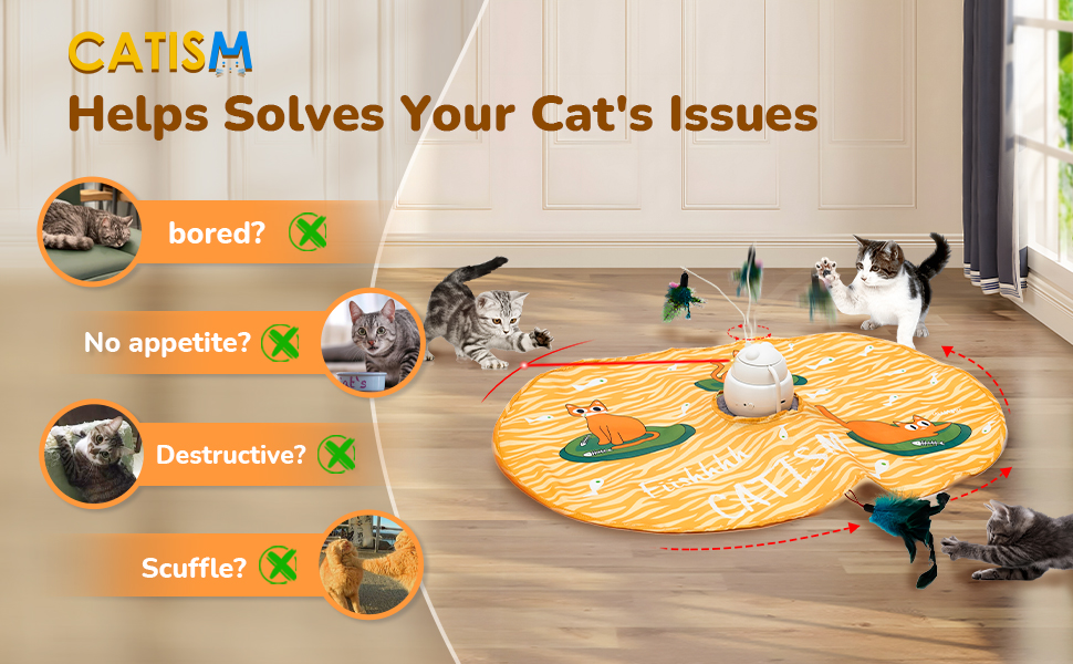 Interactive Cat Toys 