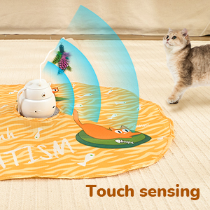 Interactive Cat Toys 