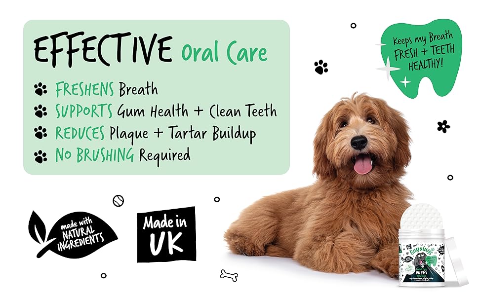 Dental Care Wipes for Dogs - Key Benefits