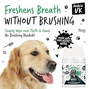 Dental Care Wipes For Dogs - Requires No Brushing