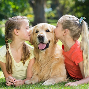 dog toothbrush