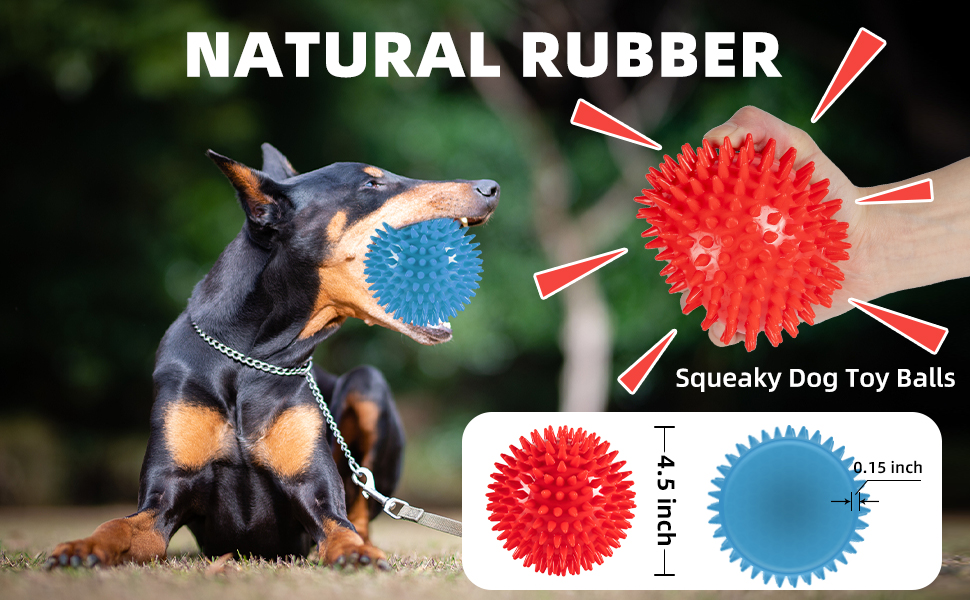 Squeaky Dog Balls Toys