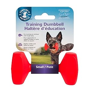 Dog Training Dumbbell