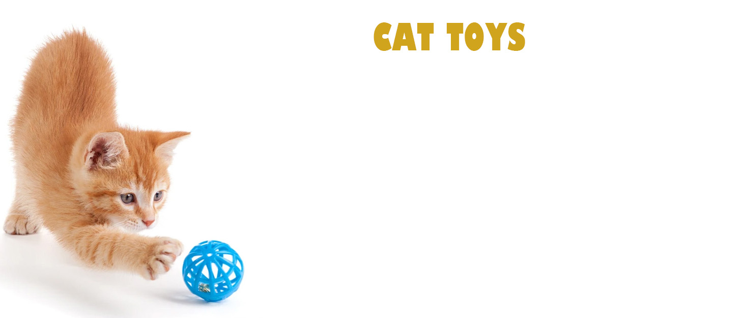 Interesting Cat Toys