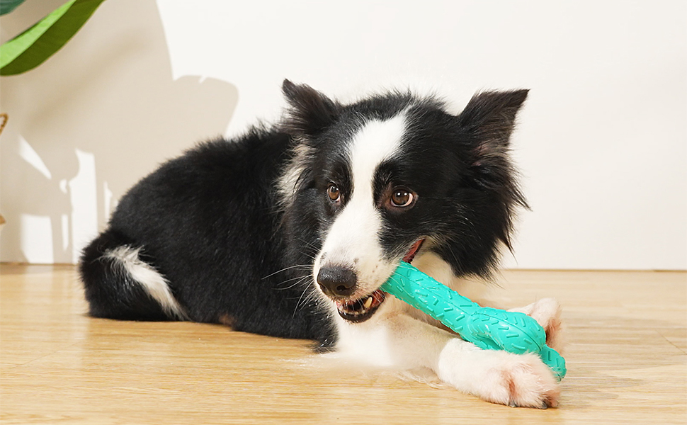 Puppy Teething Chew Toys