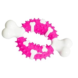 996021 BONE TEETHER