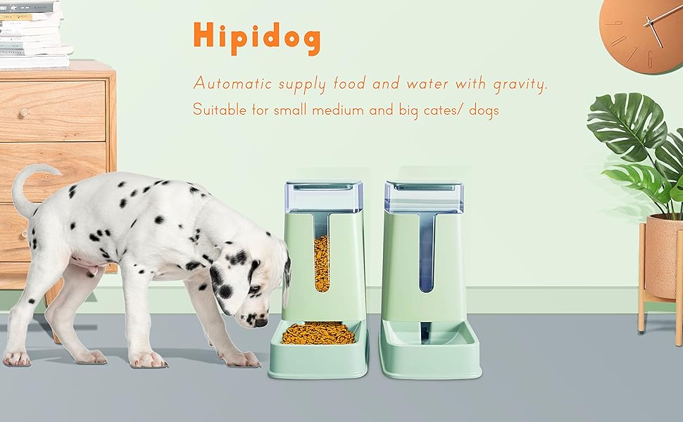 automatic cat feeders