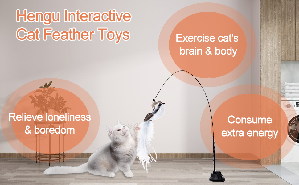 Cat Feather Toys