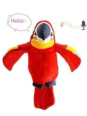 talking parrot 1