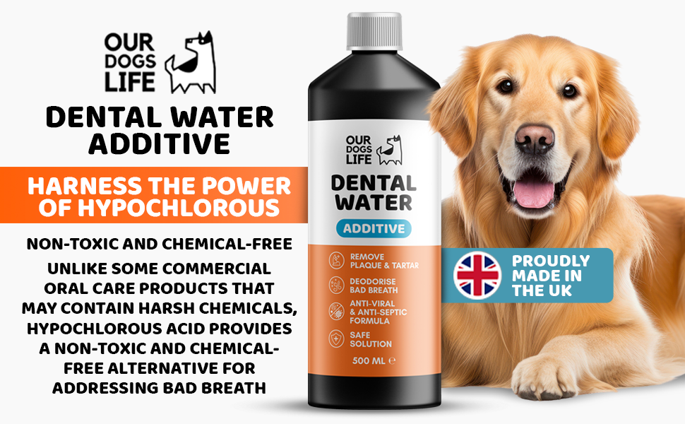 dental wash for dogs teeth cleaning products dog dental water mouth wash for pets pet mouth spray