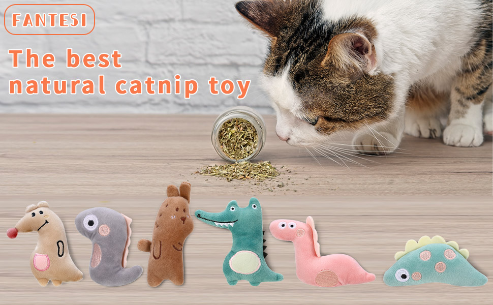 Cat Catnip Toys