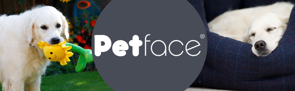 Petface logo