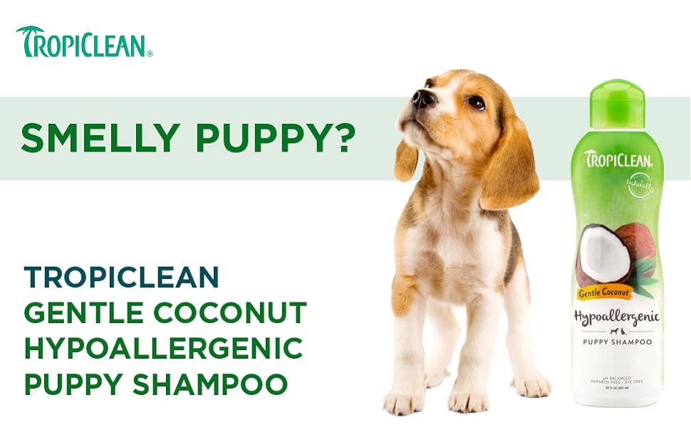 Gentle Coconut Hypoallergenic Puppy Shampoo