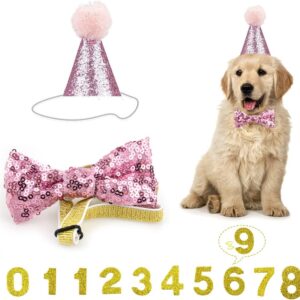 Dog Birthday Hat, Pet Birthday Hat Kit with Bow Tie Collar and Gold Number,Reusable Dog Cats Birthday Cap for Pet Puppy Cat Birthday Party Decorations, Pet Costumes Headwear Accessories (Pink)