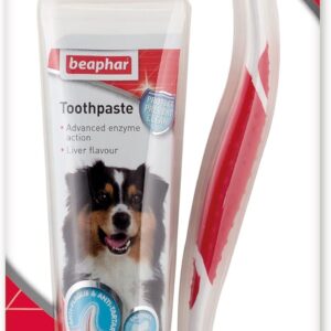 Beaphar | Toothbrush & Toothpaste Dental Care Kit | For Dogs & Cats | Includes a Double-Ended Toothbrush & Liver-Flavoured Enzymatic Toothpaste, 100g Tube, 2 Count ( Pack of 1)