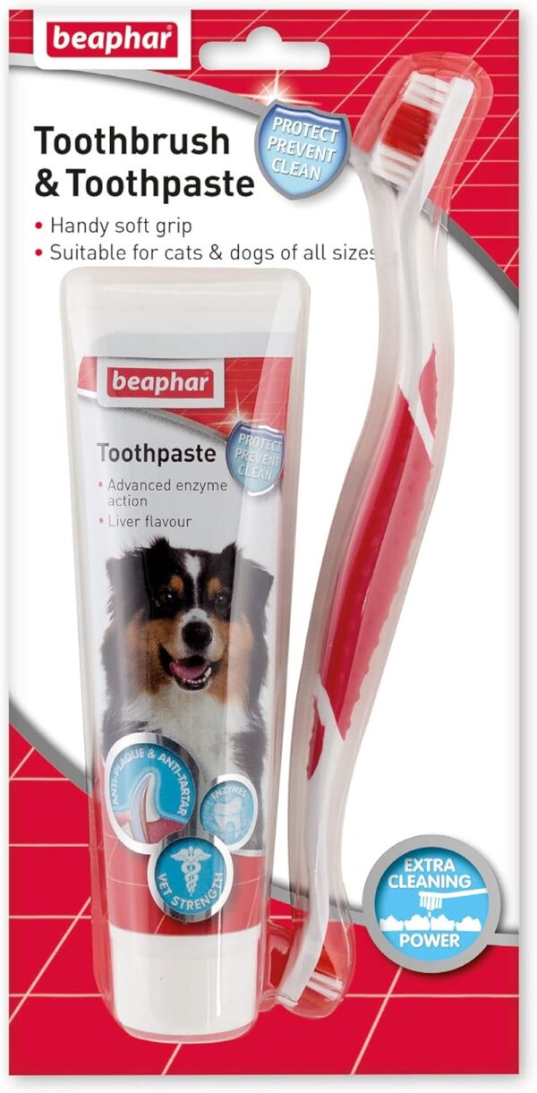 Beaphar | Toothbrush & Toothpaste Dental Care Kit | For Dogs & Cats | Includes a Double-Ended Toothbrush & Liver-Flavoured Enzymatic Toothpaste, 100g Tube, 2 Count ( Pack of 1)