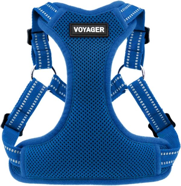 Best Pet Supplies Voyager Adjustable Dog Harness with Reflective Stripes, Heavy-Duty Full Body No Pull Vest with Leash D-Ring, Breathable All-Weather - Harness (Royal Blue), S (Chest: 15-18")