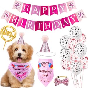 SKXEO Dog Birthday Bandana Hat Banner Set, Cat Dog Pet Happy Birthday Adorable Hat Banner Cute Neckerchief Ties for Boys and Girls, Party Accessories, Birthday Decorations