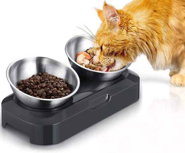 PewinGo Raised Cat Bowl with Stainless Steel, Easy to Clean & Non-Slip Silicone Mat Cat Feeder with 0 &15° Tilting Neck Protective Bowl for Pets, Cats and Puppies Food and Water Feeding