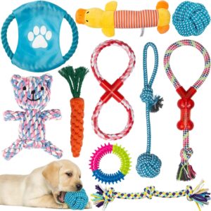 Labeol Puppy Toys from 8 Weeks Dog Toys Interactive Puppy Chew Toys 10Pcs Indestructible Tough Dog Rope Toys Natural Cotton Small Dog Toys for Small Puppy and Medium Dogs