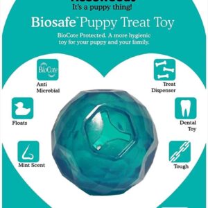 Rosewood tough puppy toy ball shaped treat dispenser dog toy for small dogs and puppies made of tough material, mint scented, blue