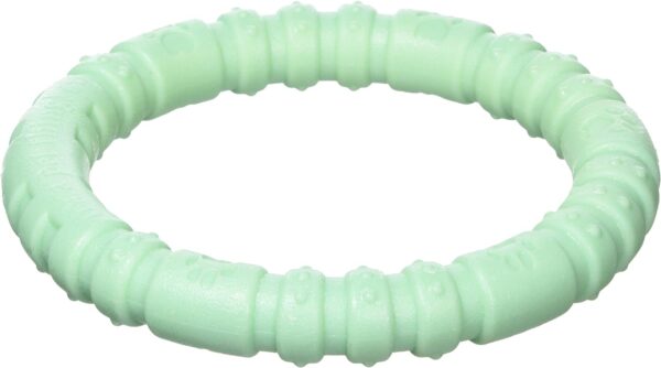 Rosewood large tough and durable chew and teething ring shaped dog toy for medium and large dogs made of tough nylon material, Mint flavoured and scented, Green, transparent