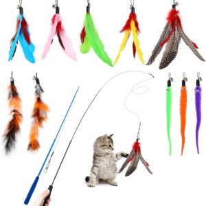 Hianjoo Cat Feather Teaser Set 12 pcs, Interactive Toys for Cats 2 Retractable Cat Wand Funny Sticks and 10 Replacement Feather Toys with Bell for Kitten Cat Catcher Having Fun Exercise Playing