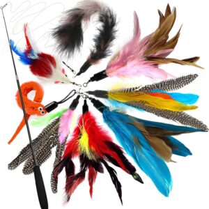 onebarleycorn Cat Feather Toys,Cat Toy Feathers for Indoor Cats Kitten Interactive Toys Retractable Cat Teaser Wand with 8 Refills