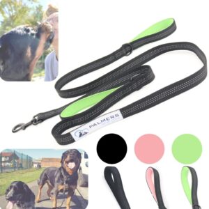 PALMERS PET CARE, Dog lead, UK BRAND, Optimal recommended length 1.8 metres, Training, Walking, Safety, reflective, dog lead for small, medium & large dogs (black and green)