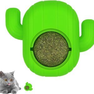 2 Pcs Catnip Ball Toy - Safe Rotatable Catnip Wall Balls,Cactus Shape Interactive Cat Ball Teeth Cleaning Toy, Toys for Indoor Cats Adult & Kitten, Cat Supplies