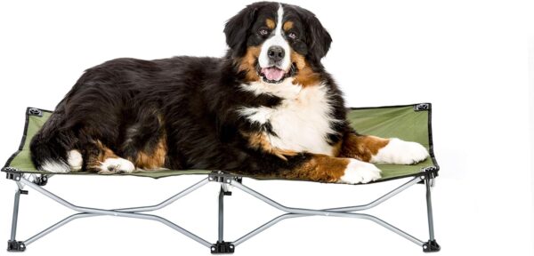 Carlson Pet Products The Portable Pup Pet Bed for Home, Large, Green