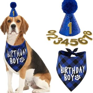 Dog Birthday Party Supplies- Reusable Dog Birthday Hat and Bandana with Numbers, Blue Pompom Party Hat BIRTHDAY BOY Scarf Set, Pet Outfits Accessories Party Decoration for for Small Medium Dogs Cats