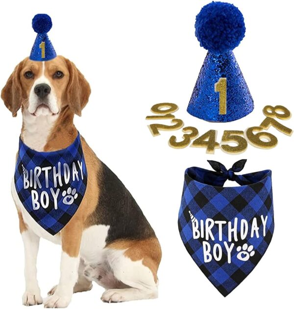 Dog Birthday Party Supplies- Reusable Dog Birthday Hat and Bandana with Numbers, Blue Pompom Party Hat BIRTHDAY BOY Scarf Set, Pet Outfits Accessories Party Decoration for for Small Medium Dogs Cats