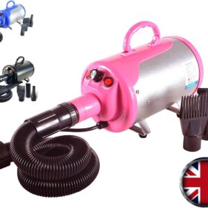 Gravitis Pet Supplies 2800w Professional Pet Hair Dryer with Hose – A Powerful but Quiet Dog Dryer with Variable Speed (Pink)