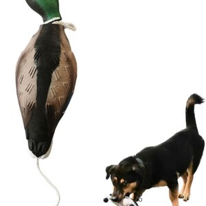 MR.HOKWY Dog Training Duck Dummy- EVA Material Trainer with Throwing Toggle, Dog Retrieval Training Toys Bird Dummy Mallard Mimics Duck Bumper Toy for Puppies or Adult Hunting Dogs