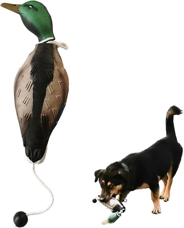 MR.HOKWY Dog Training Duck Dummy- EVA Material Trainer with Throwing Toggle, Dog Retrieval Training Toys Bird Dummy Mallard Mimics Duck Bumper Toy for Puppies or Adult Hunting Dogs